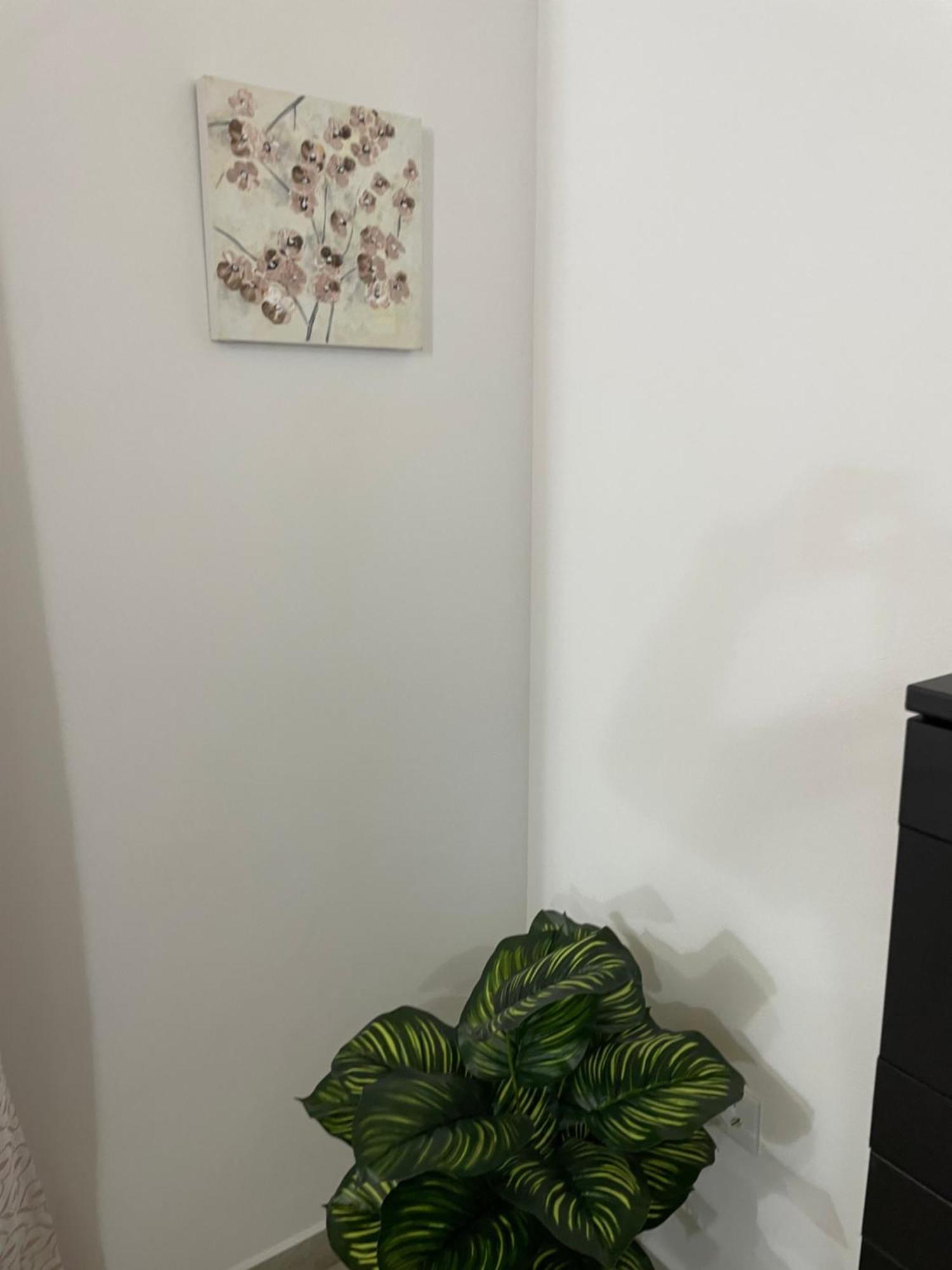 Appartamento Casa Delia Bornos Esterno foto